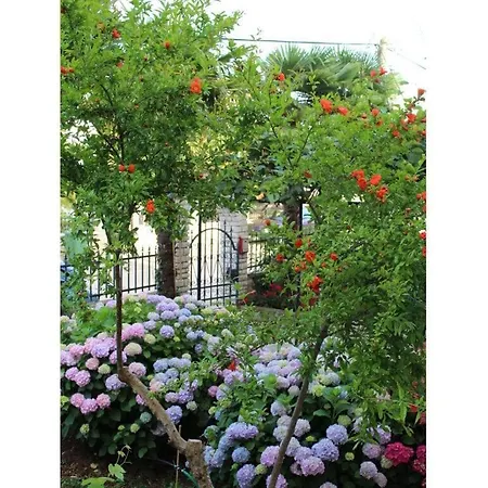 度假居 Josef Met Prive Tuin